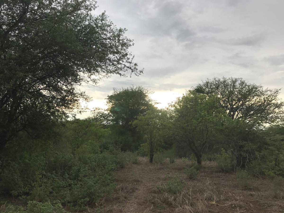 Ilusi Mabata Makali Luxury Tented Camp מראה חיצוני תמונה